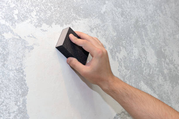 Best Crawl Space Mold Remediation  in Philmont, NY