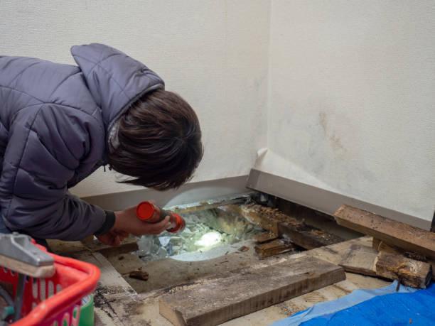 Best Industrial Mold Remediation  in Philmont, NY