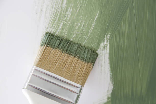 Best Mold Remediation for Healthcare Facilities  in Philmont, NY