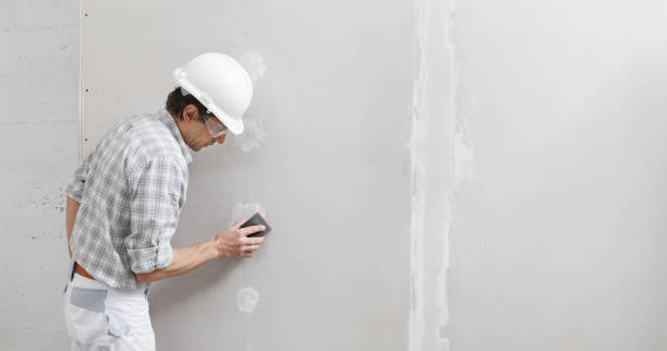 Best Environmental Consulting for Mold Prevention  in Philmont, NY