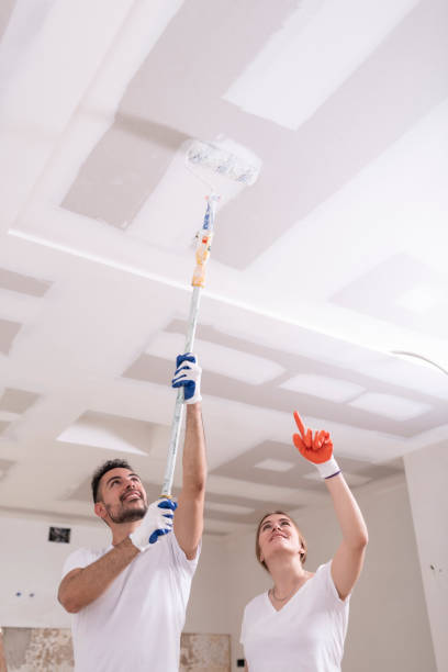 Best Mold Documentation for Insurance Claims  in Philmont, NY